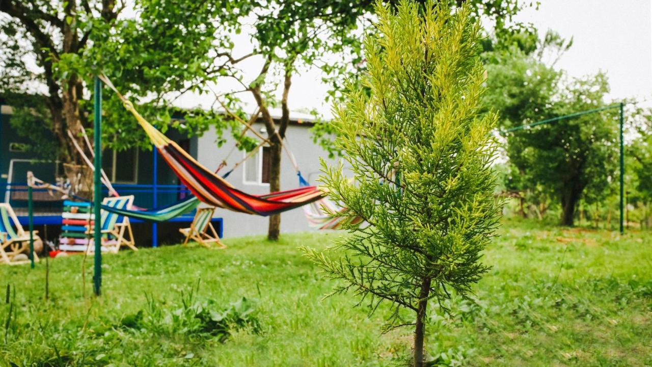 Bebo Babu Guest House Кутаиси Экстерьер фото